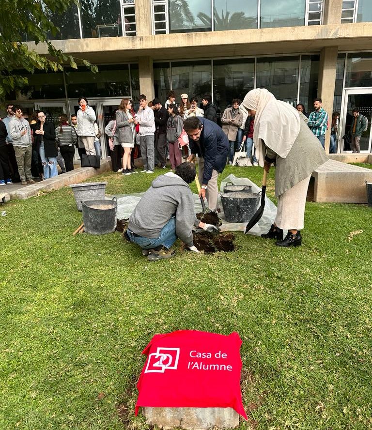 Alumnos plantando el árbol.